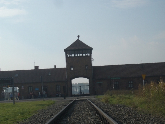 The Line to Auschwitz II - Birkenau