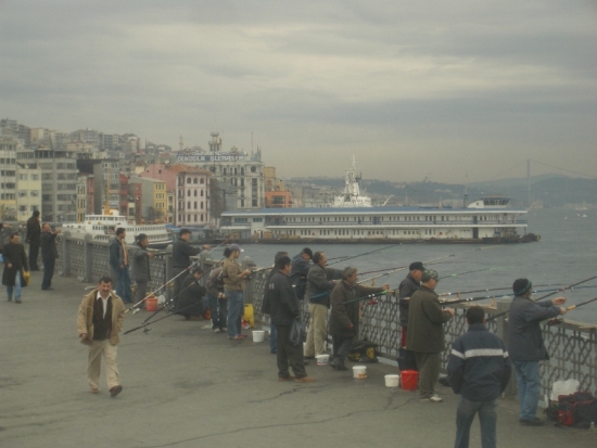 Golden Horn Fishermen