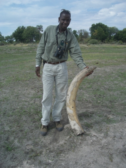 Ebs the Poacher