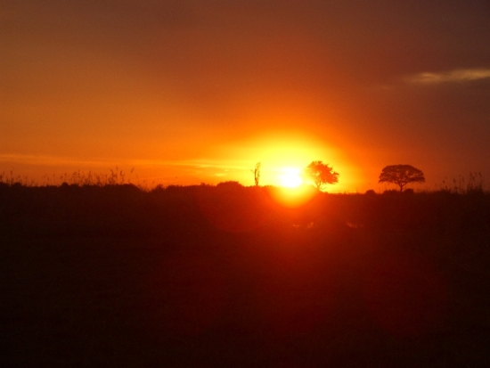 African Sunset