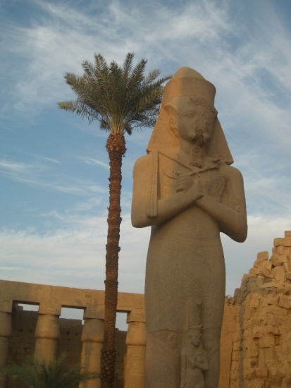 Pharaoh & Palm Tree