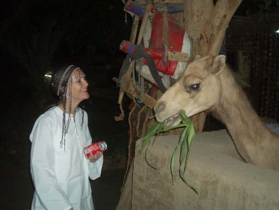 Feeding the Camel