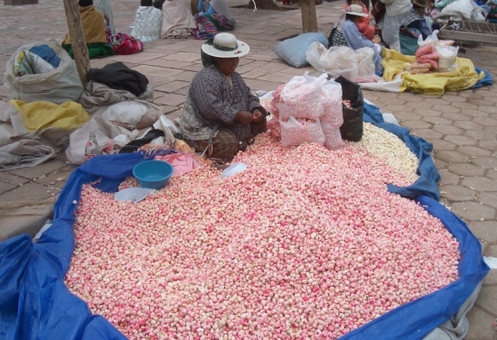 Popcorn Peddler