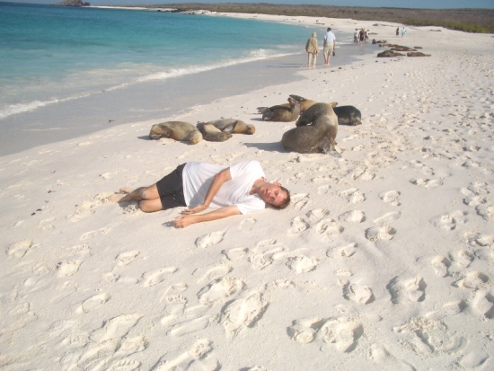 Sea Lion Siesta