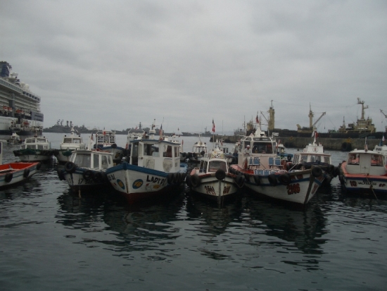 Valparaiso Harbor Ships