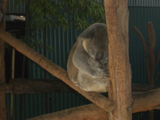 Sleeping on the Job