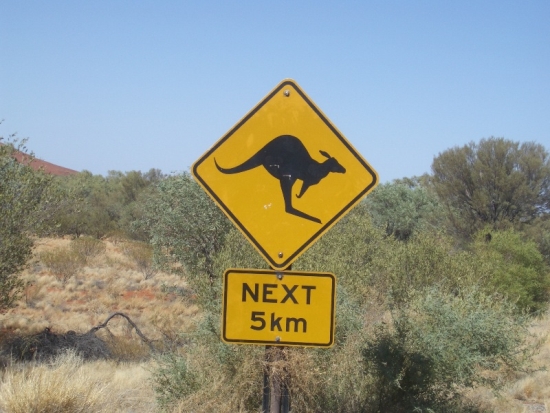 Roo Crossing