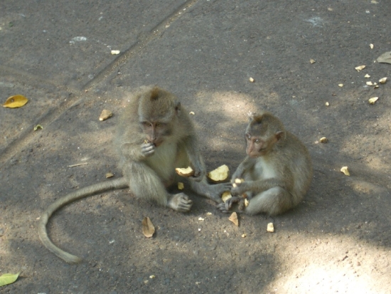 Dinner for Two
