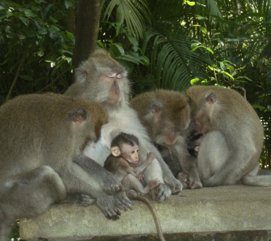 Nursery