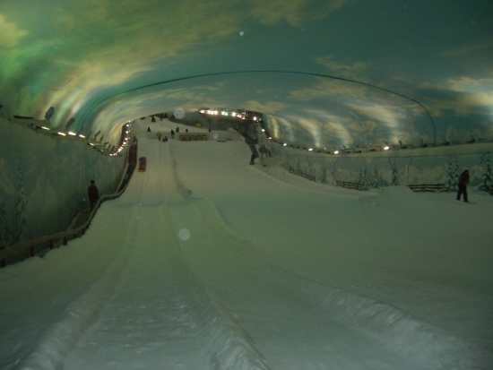 Alpine Sledding Hill