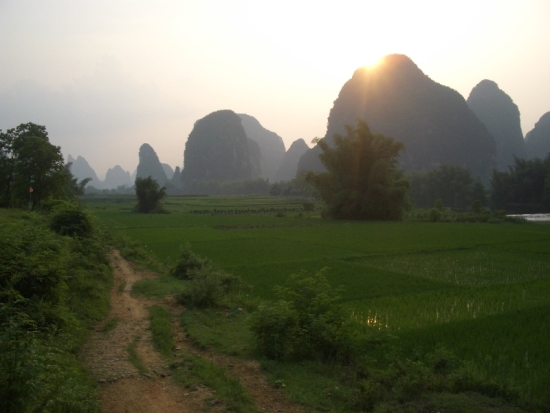 Rice Paddy Sunset