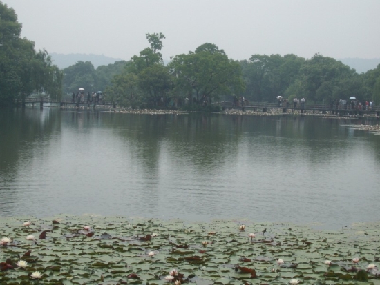 Three Pools Mirroring the Moon