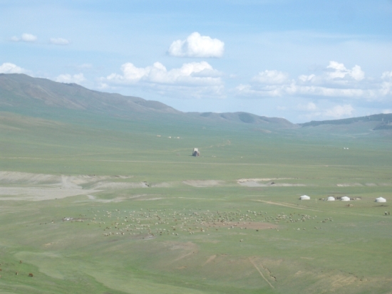 Herds on the Steppe