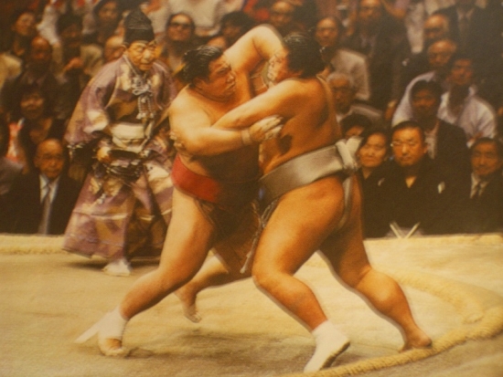 Sumo Wrestlers