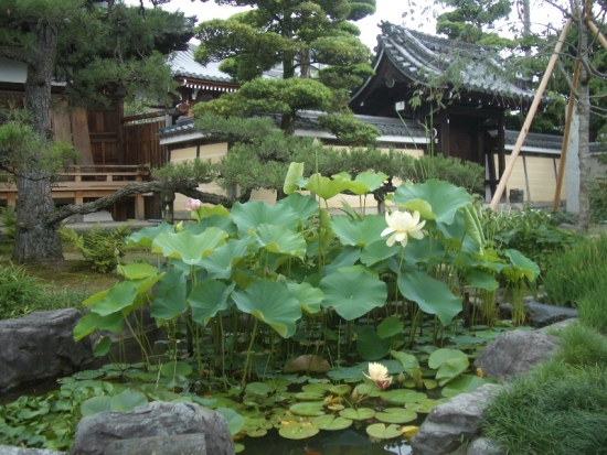 Kyoto Garden & Temple