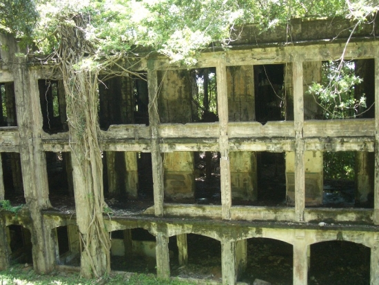 WWII Ruins Reclaimed by the Jungle