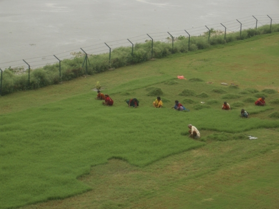 Taj Lawn Crew