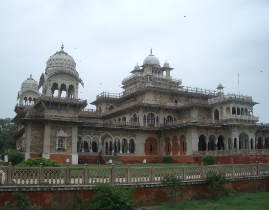 Pigeon Palace