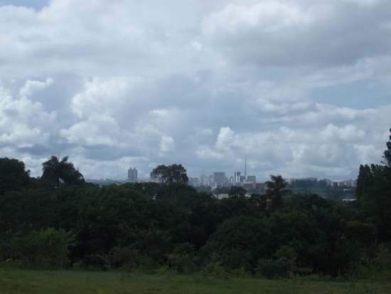 City Built in the Jungle