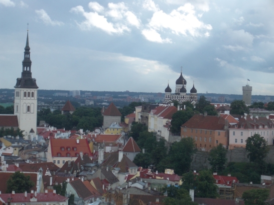 Tallinn Old Town Roofs