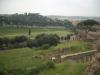 Site of Circus Maximus