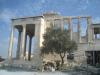 Olive Tree & Erechtheion