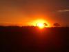 African Sunset