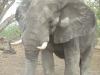 Too Close for Comfort
