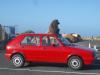 Baboon on VW