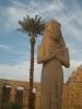 Pharaoh & Palm Tree