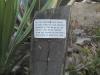 Why Deanna Likes the Equator