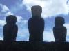 The Ancestors' Back Side