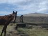 Mr. Ed at Easter Island