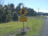 Koala Crossing