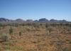 The Olgas