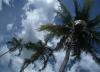 Tropical Darwin