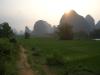 Rice Paddy Sunset