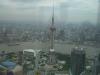 The Pearl of the Orient from Jin Mao Tower