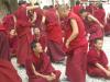 Monks at Sera Monastery