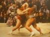 Sumo Wrestlers
