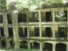 WWII Ruins Reclaimed by the Jungle