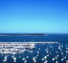 Punta del Este Marina