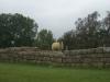 21st Century Sheep Stands on 2nd Century Hadrian's Wall
